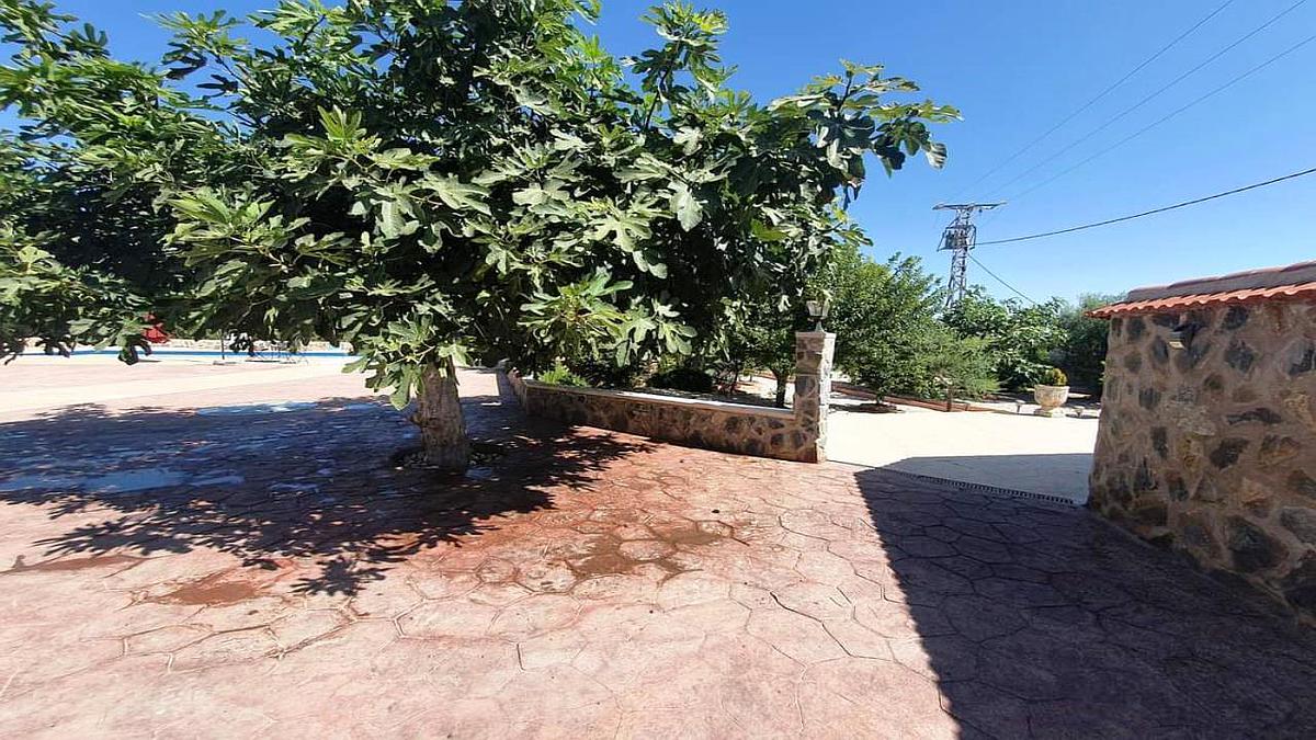 9235444